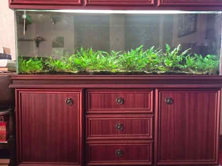 Photo of free 240l Tank, Stand and Equipment (Langlee TD1) #1