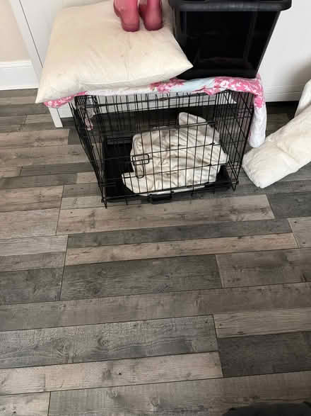 Photo of free Blue poufee lounger chair dog cage dog beds (Ravenscourt Park W6) #2