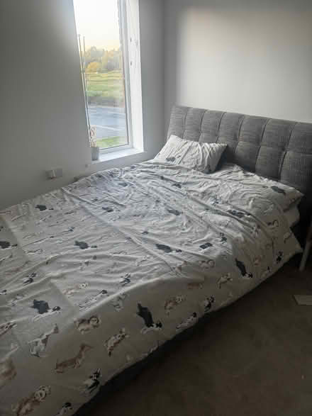 Photo of free Bed (New Tupton S42) #1