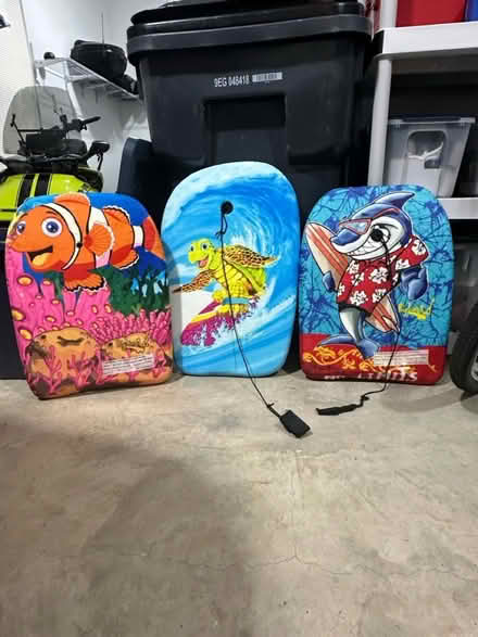 Photo of free Boogie Boards/float (3) (White plains) #1