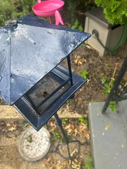 Photo of free Blue Bird feeder (Petworth) #2