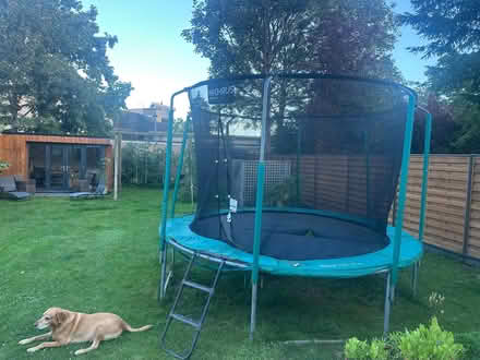 Photo of free Trampoline 12 ft Skyhigh Plus (Cutteslowe OX2) #1