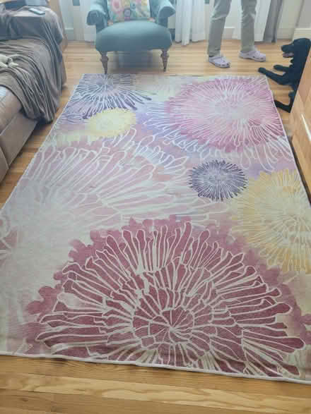 Photo of free Ruggable rug (Revere, near Malden) #1