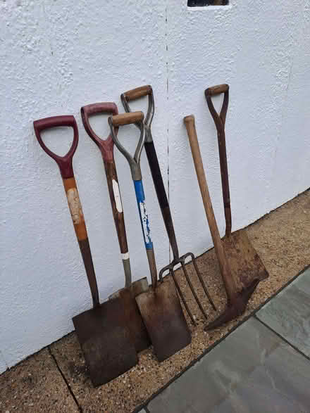 Photo of free Garden tools (Bexley DA5) #2