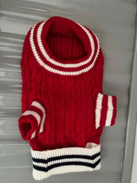 Photo of free Dog jumper (Tyseley B11) #2