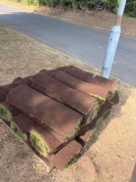 Photo of free Turf (SG3) #1
