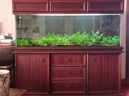 Photo of free 240l Tank, Stand and Equipment (Langlee TD1) #2