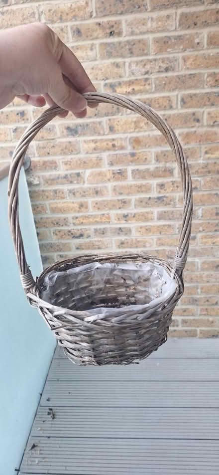 Photo of free Basket for plant (TW8) #1