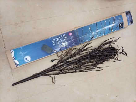 Photo of free LED "Twig Tree" (Ramsgate CT11) #1