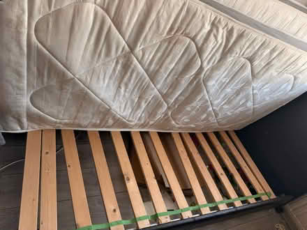 Photo of free 2 single Mattresses, 1 single bed (Rotherham S65) #3