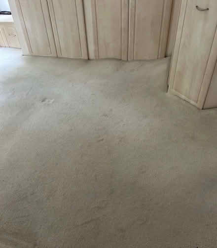 Photo of free Bedroom cream carpet (Ecclesall S11) #1