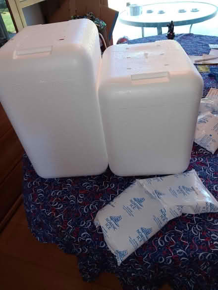 Photo of free Styrofoam Ice Chests (Lawrence and 101) #1