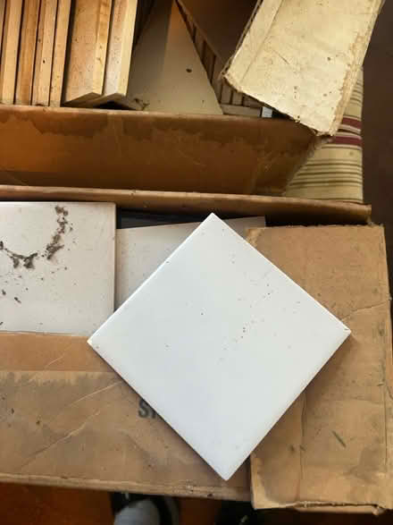 Photo of free Ceramic tiles (Soward Street, Hopedale) #1