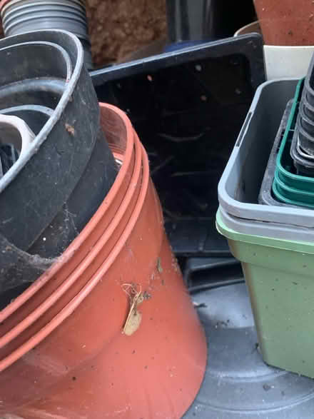 Photo of free plant pots galore (Blagdon BS40) #2