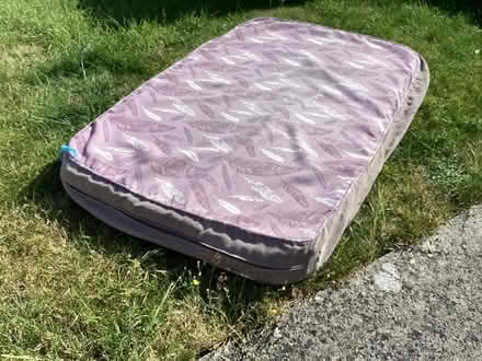 Photo of free very large dog bed (Walton BA16) #1