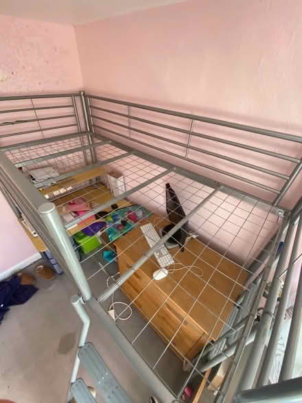 Photo of free Single Bunk bed (Batford AL5) #2