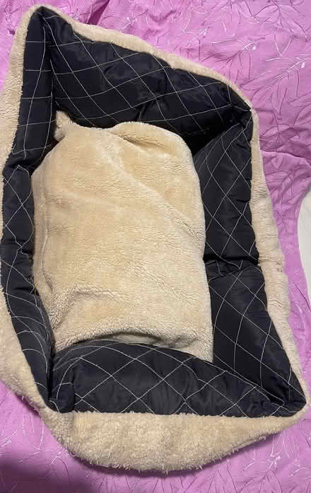 Photo of free Smallish dog bed (Finsbury Park N4) #1