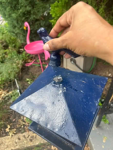 Photo of free Blue Bird feeder (Petworth) #4