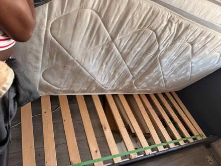 Photo of free 2 single Mattresses, 1 single bed (Rotherham S65) #1