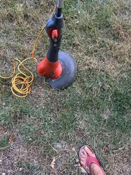Photo of free Electric Strimmer (Haywards Heath RH16) #2