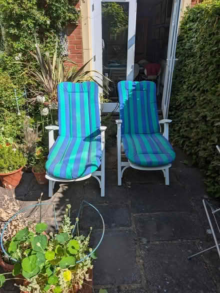 Photo of free Sun Loungers (Leatherhead) #2