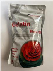 Photo of free Gelatin Art Starter Kit (Landmark) #3