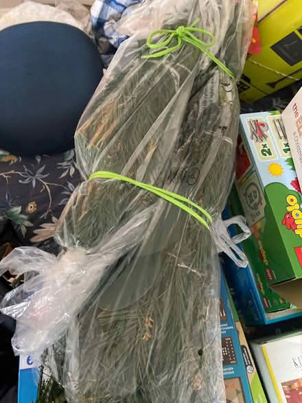 Photo of free 6ft Christmas tree (Woodlands TW7) #1