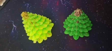 Photo of free Candle trees (TW8) #1