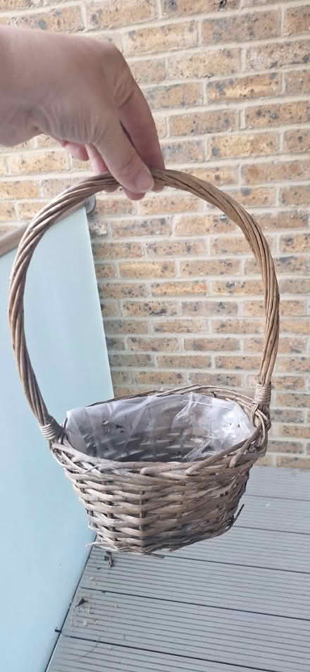 Photo of free Basket for plant (TW8) #2