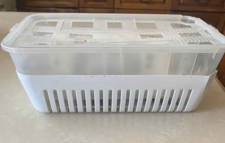 Photo of free damp trap, new (St Albans AL1, nr Marshalswick) #2