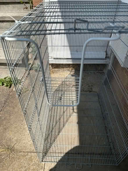 Photo of free NEW Savic Freddy Rat Cage W/ Base (AL1) #2