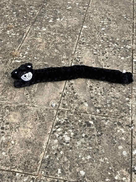 Photo of free Cat draught excluder (Guildford, SW, GU2) #1