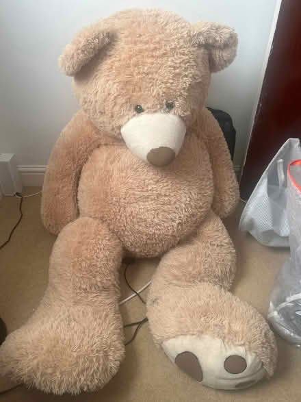 Photo of free Large Teddy Bear (Morley LS27) #1