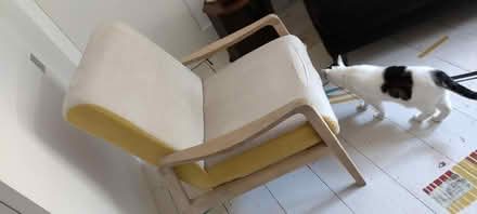 Photo of free Armchair (Newington Green N5) #1