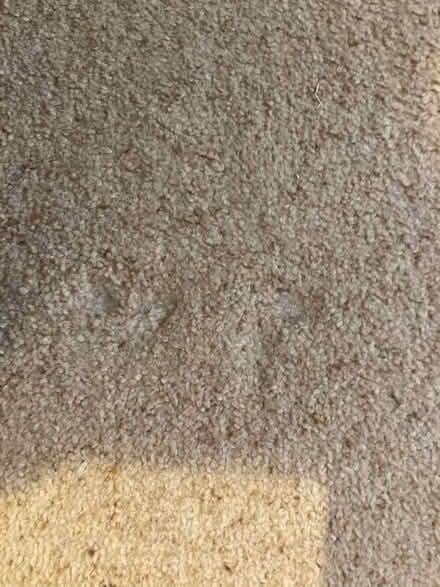 Photo of free Bedroom carpet oatmeal 13ftx10ft & extra in window & doorway (Wallyford EH21) #1