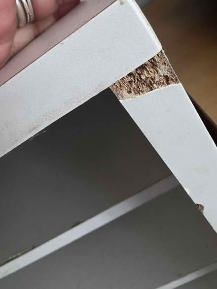 Photo of free Shoe cupboard (Enfiel EN3) #3