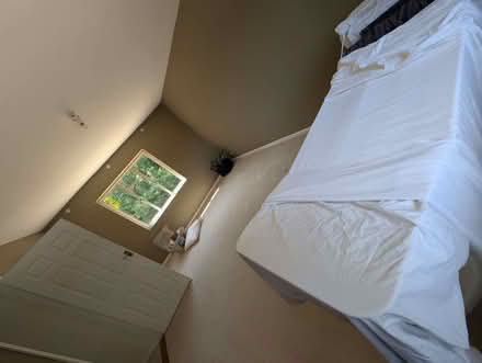 Photo of free Cream carpets (Wickham PO17) #1
