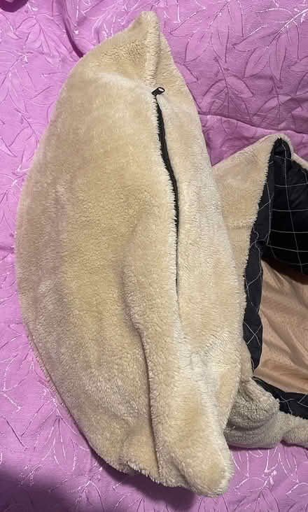 Photo of free Smallish dog bed (Finsbury Park N4) #2
