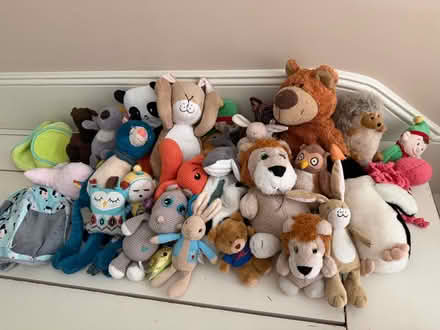 Photo of free Soft toy bundle (South Kensington W8) #1