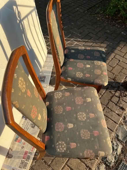 Photo of free Chairs (Summertown OX2) #2