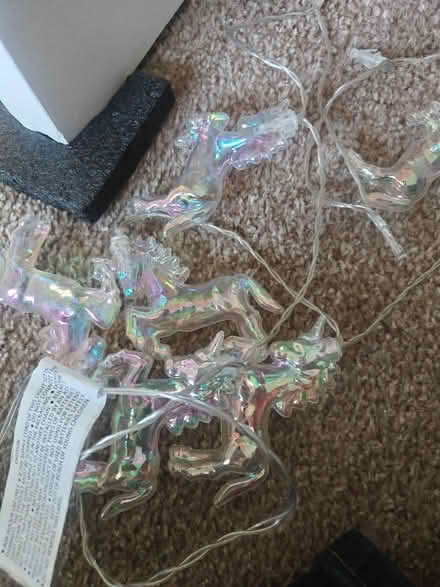 Photo of free Horses lights (Pr1) #1