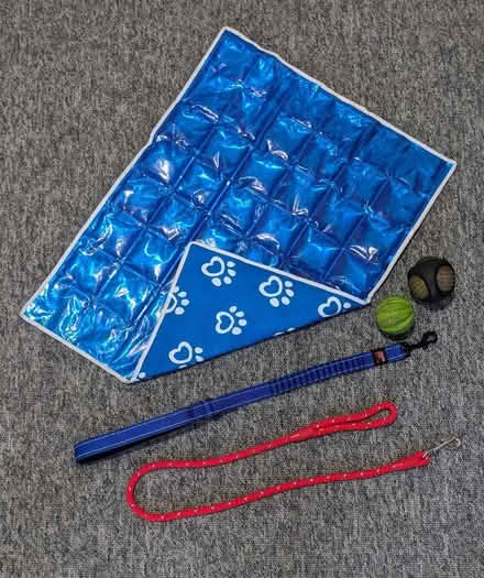 Photo of free Dog stuff (Kendal LA9) #1