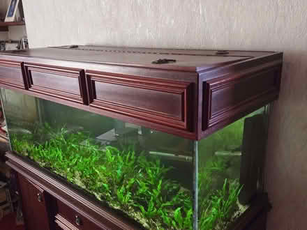 Photo of free 240l Tank, Stand and Equipment (Langlee TD1) #3