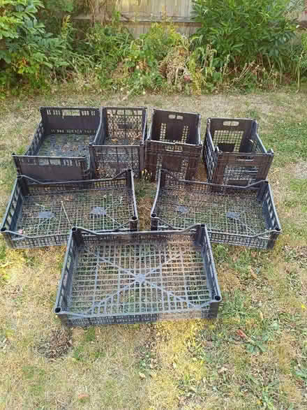 Photo of free Plastic Crates for garden or allotment (Bray SL6) #1
