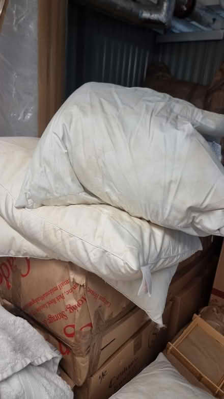 Photo of free Super King Duvet + Pillors (South hampstead NW8) #3