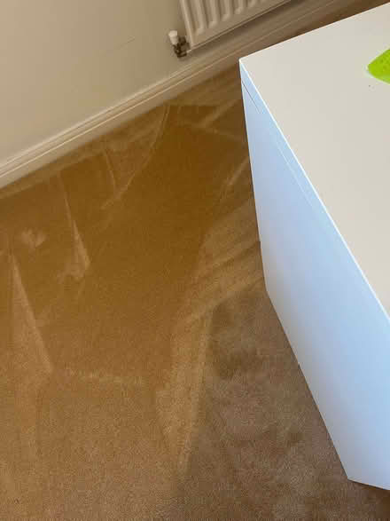 Photo of free Off-cuts of new carpet in a gold/light brown/yellow colour (Wivenhoe CO7) #1
