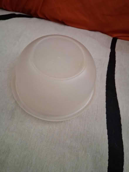 Photo of free Plastic Bowl (West Harlem, near Harlem Hosp) #2