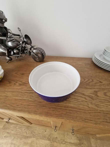 Photo of free Blue dish (Barming ME16) #2