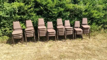 Photo of free Banquet type chairs (RG10 Waltham St Lawrence) #1