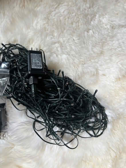 Photo of free Christmas lights (Rego Park) #2